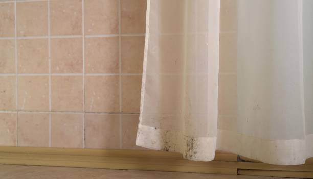 Best Mold Odor Removal Services  in Shelby, MT