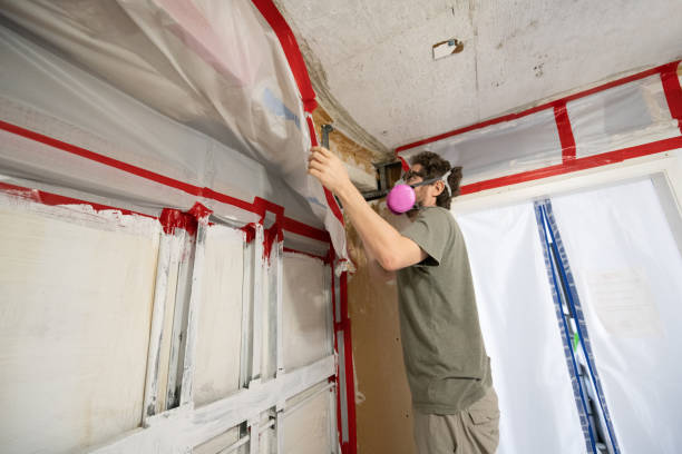 Best Residential Mold Inspection & Testing  in Shelby, MT