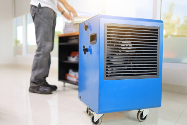 Best Mold Remediation for Healthcare Facilities  in Shelby, MT