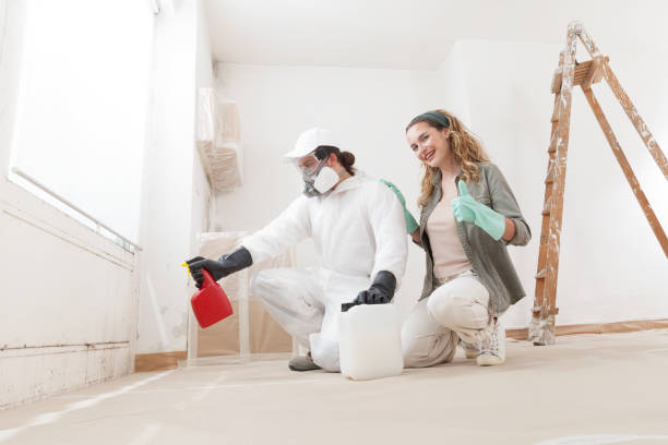 Dehumidification Services in Shelby, MT